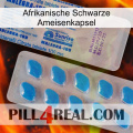 Africa Black Ant Capsule new15